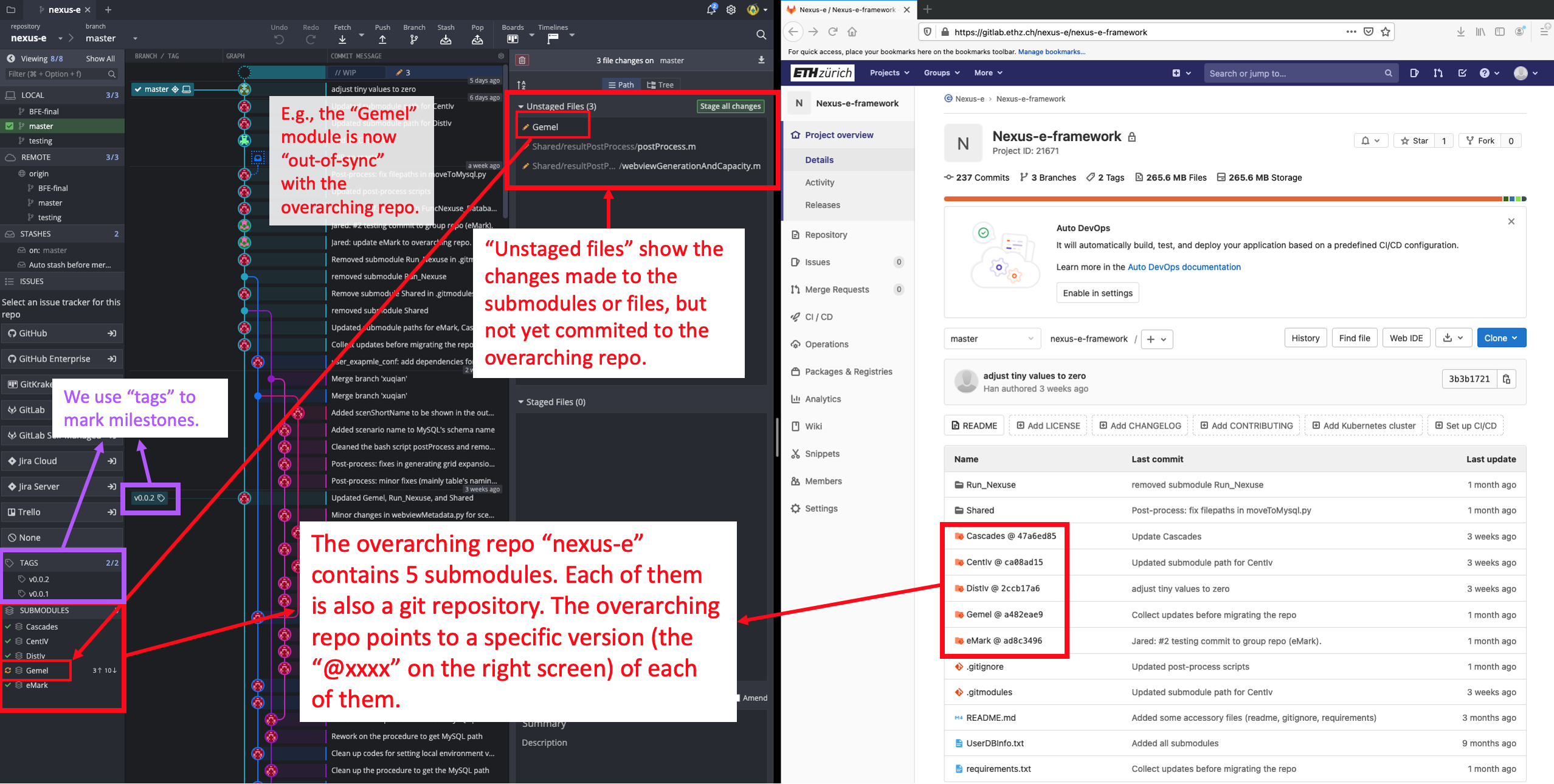 _images/gitkraken-repo-structure.png
